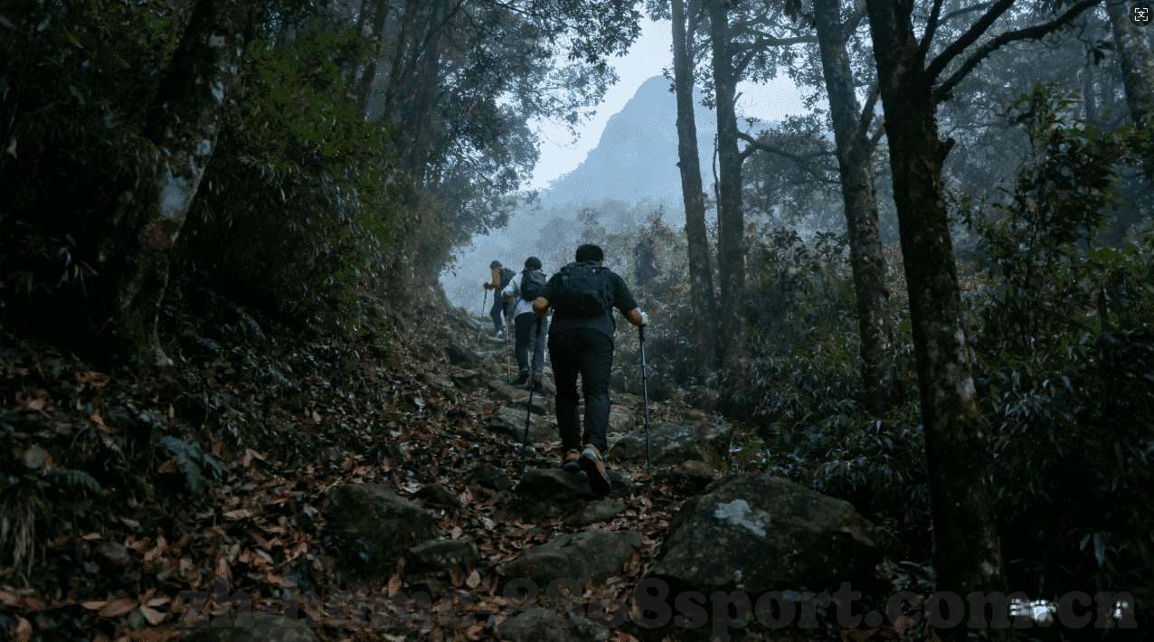 开云在线游戏官网-开云在线游戏官网，引领数字娱乐的新方向
